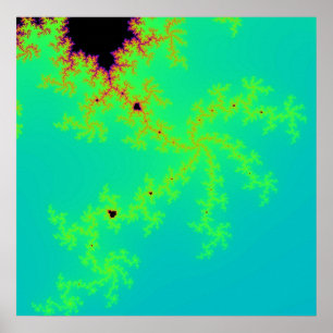 Fractal Wonder Poster