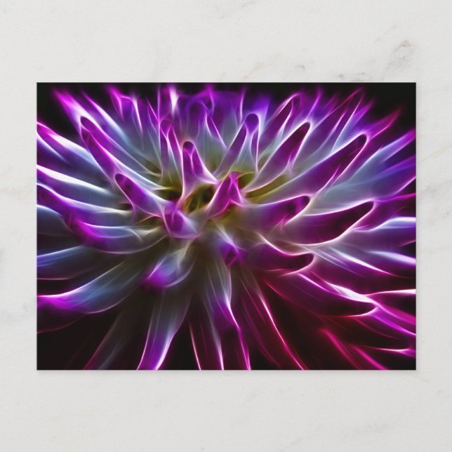 Fractalius Dahlia Postcard (Front)