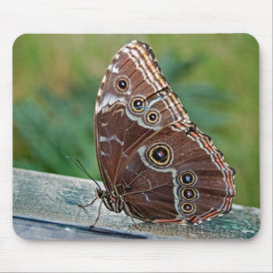 Fragile Beauty Mouse Mat