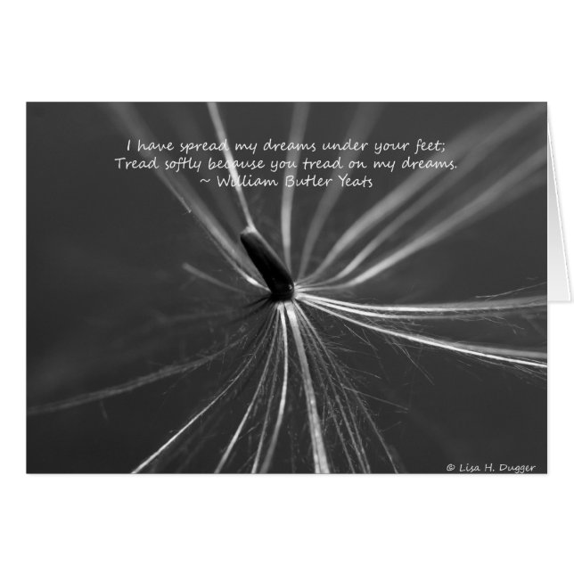 Fragile Dreams Underfoot (Front Horizontal)