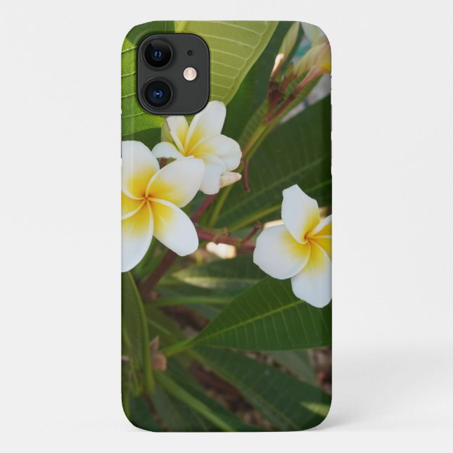  Fragrant Frangipani Flowers  Case-Mate iPhone Case (Back)