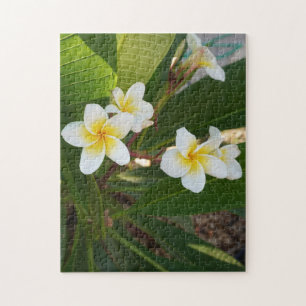 Fragrant Frangipani Flowers Jigsaw Puzzle