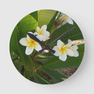  Fragrant Frangipani Flowers  Round Clock