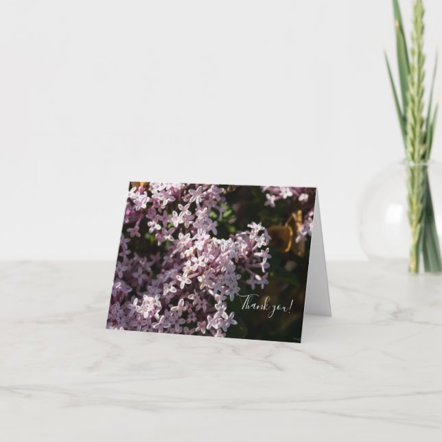 Fragrant Lilac Thank You Card (Front)