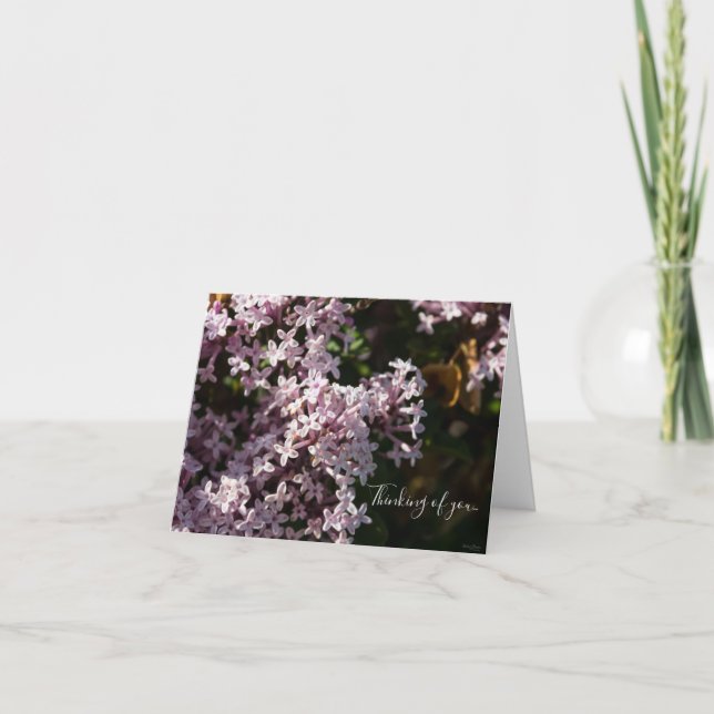 Fragrant Lilac Thinking Of You Card (Front)