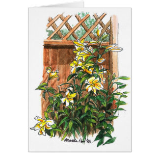 Fragrant lilies
