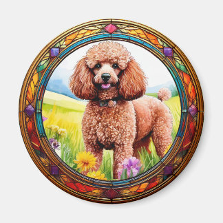 Frame for Your Image Magnet