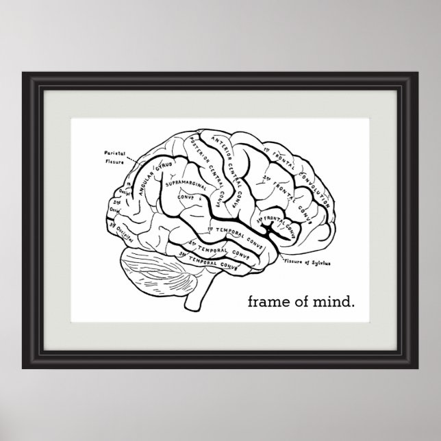Frame of Mind Faux Frame Brain Diagram Science Poster (Front)