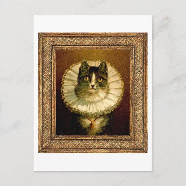 Framed Cat in Elizabethan Collar Costume Postcard (Front)