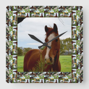Framed Chestnut Horse Sniffing A Banksia Tree, Square Wall Clock
