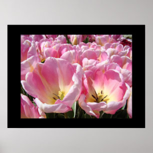 Framed Floral art prints Pink Tulip Flowers Garden