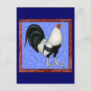Framed Gamecock Postcard