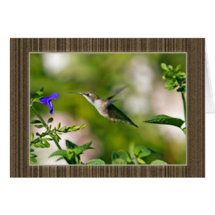 Framed Hummingbird