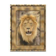Framed Lion