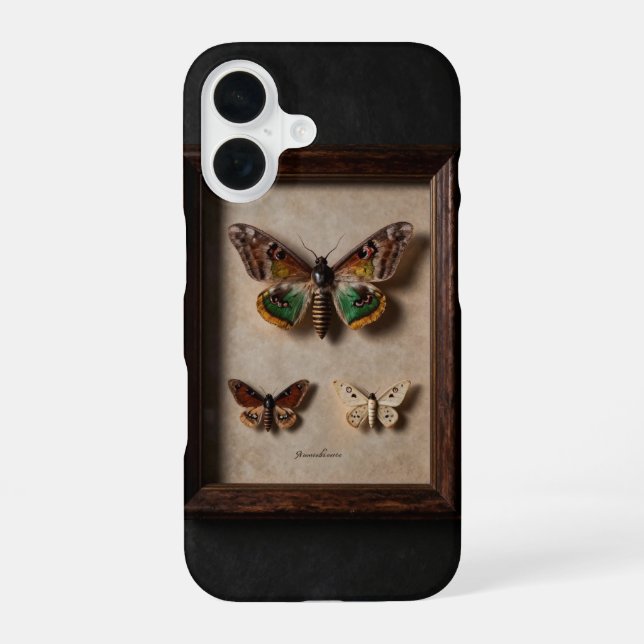 Framed Moth Specimen Dark Academia Case (Back)