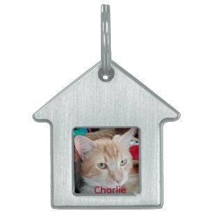 Framed Pet Photo Name Tag