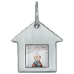 Framed Pet Tag