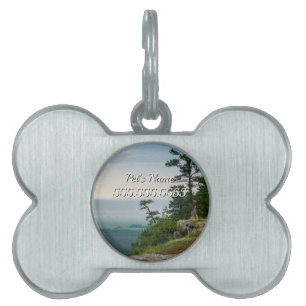Framed Pet Tag