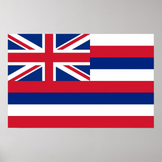 Framed print with Flag of Hawaii, U.S.A.