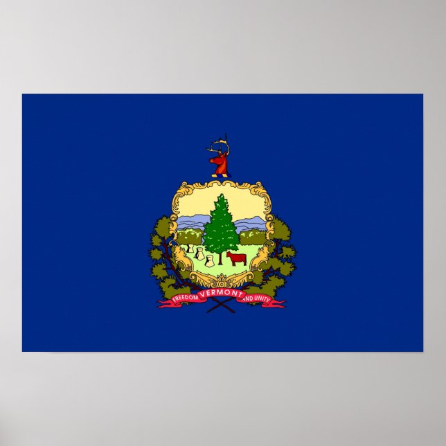 Framed print with Flag of Vermont, U.S.A. (Front)