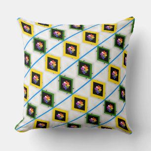 Framed Rainbow Colours  Cushion