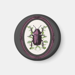 Framed Stag Beetle Magnet