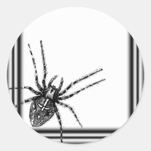 Framed Tarantula Halloween Classic Round Sticker