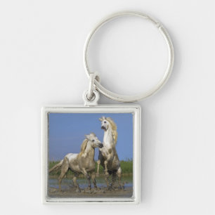 France, Bouches du Rhone, Natural Regional Park Key Ring