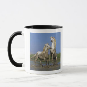 France, Bouches du Rhone, Natural Regional Park Mug