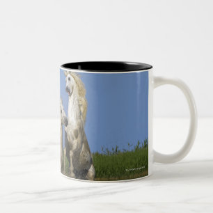 France, Bouches du Rhone, Natural Regional Park Two-Tone Coffee Mug