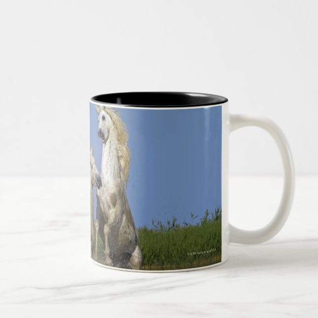 France, Bouches du Rhone, Natural Regional Park Two-Tone Coffee Mug (Right)