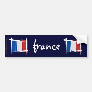 France Brush Flag Bumper Sticker