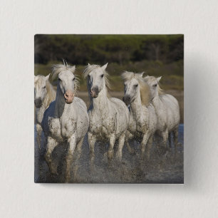 France, Camargue. Horses run 15 Cm Square Badge