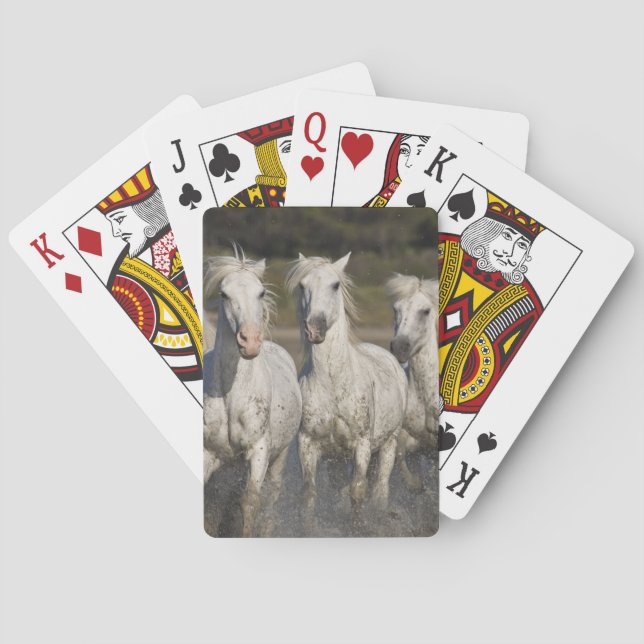 France, Camargue. Horses run Playing Cards (Back)