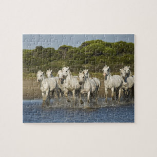 France, Camargue. Horses run through the estuary 3 Jigsaw Puzzle