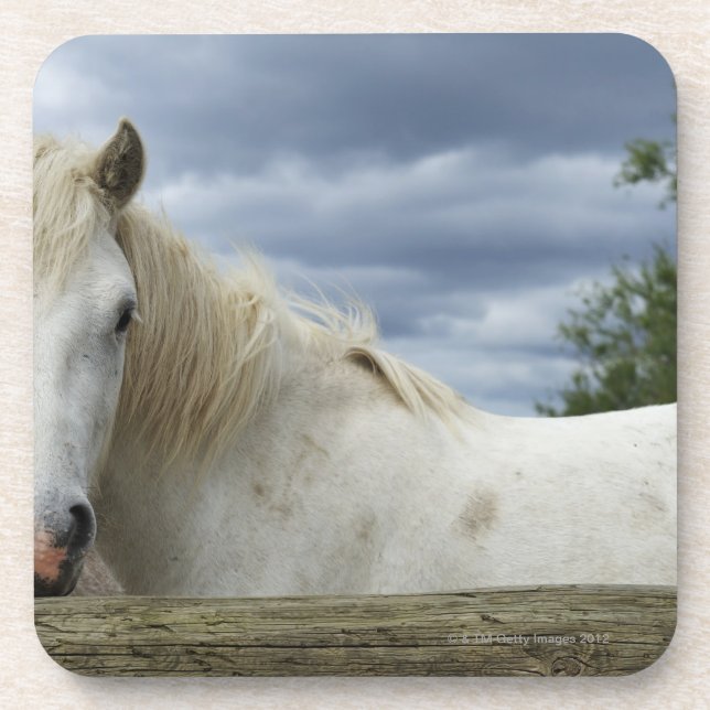 France Coaster (Front)