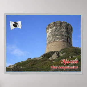 France - Corsica - Ajaccio - Poster