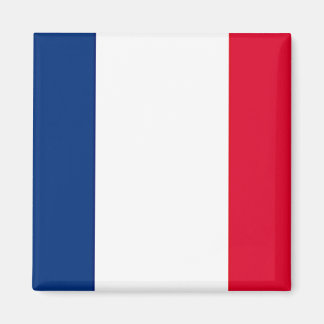 France Flag Magnet
