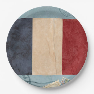 France Flag Paper Plates