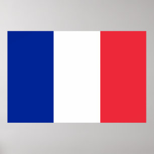 France Flag Poster