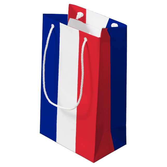 France Flag Small Gift Bag (Back Angled)