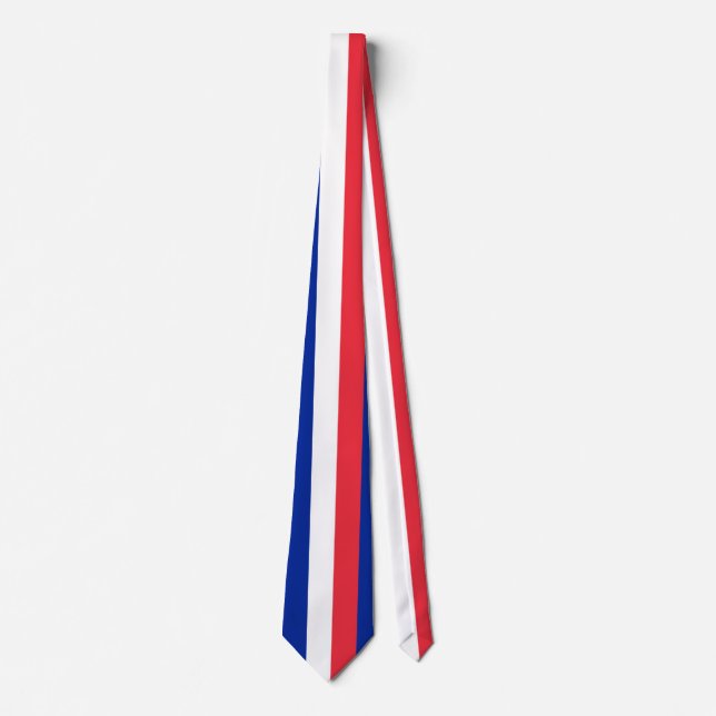 France Flag Tie (Front)