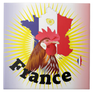 France - France Fliese Tile