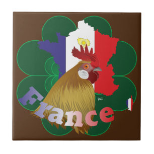 France - France Fliese Tile