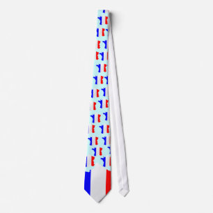 France map and flag Tie