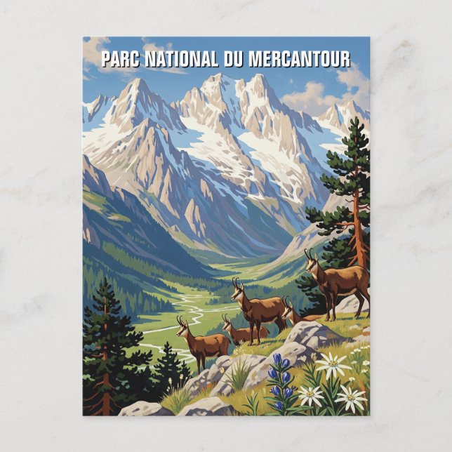 France Mercantour National Park Travel Postcard (Front)