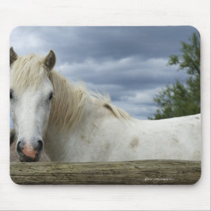 France Mouse Mat