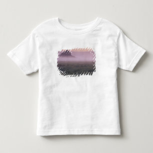 FRANCE, Normandy Mont St. Michel. Morning Mist Toddler T-Shirt