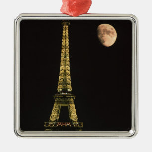 France, Paris. Eiffel Tower at night with Metal Tree Decoration