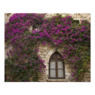 France, Provence, Eze. Bright pink Photo Print